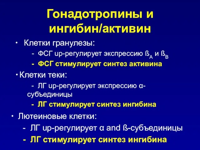 Гонадотропины и ингибин/активин Клетки гранулезы: - ФСГ up-регулирует экспрессию ßA и ßB