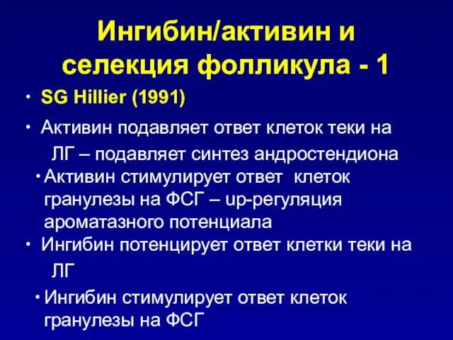 Ингибин/активин и селекция фолликула - 1 SG Hillier (1991) Активин подавляет ответ