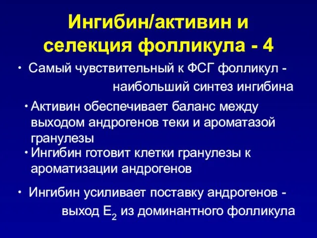 Ингибин/активин и селекция фолликула - 4 Самый чувствительный к ФСГ фолликул -