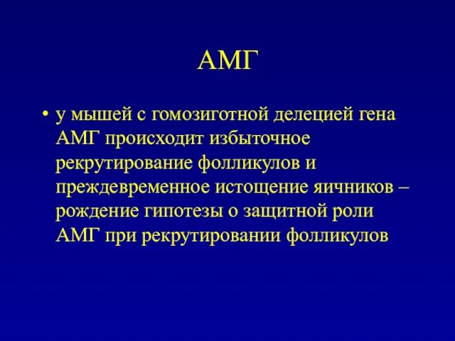 АМГ у мышей с гомозиготной делецией гена АМГ происходит избыточное рекрутирование фолликулов