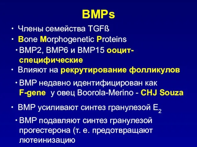 BMPs Члены семейства TGFß Bone Morphogenetic Proteins BMP2, BMP6 и BMP15 ооцит-специфические