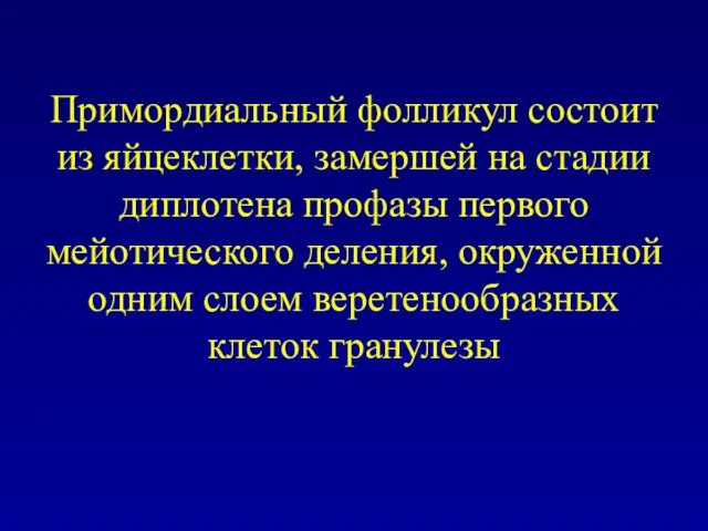 Примордиальный фолликул состоит из яйцеклетки, замершей на стадии диплотена профазы первого мейотического