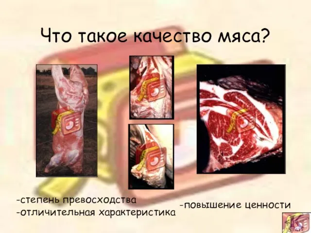 Что такое качество мяса? -степень превосходства -отличительная характеристика -повышение ценности