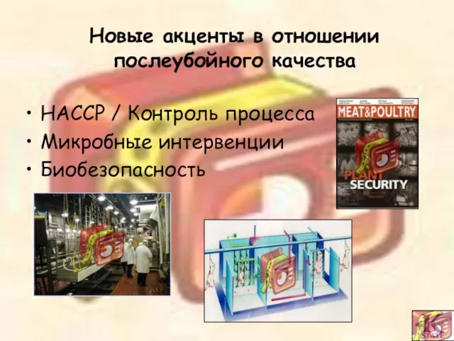 Новые акценты в отношении послеубойного качества HACCP / Контроль процесса Микробные интервенции Биобезопасность