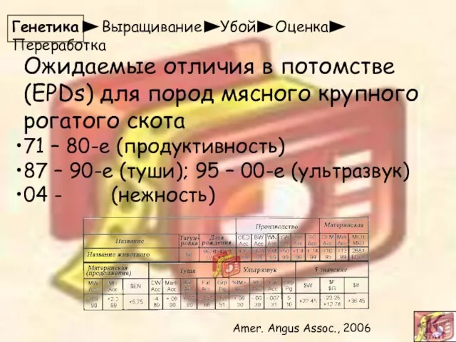 Генетика Выращивание Убой Оценка Переработка Ожидаемые отличия в потомстве (EPDs) для пород