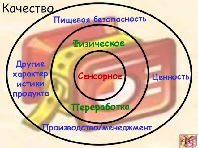 Сенсорное Физическое Переработка Другие характеристики продукта Производство/менеджмент Ценность Пищевая безопасность Качество