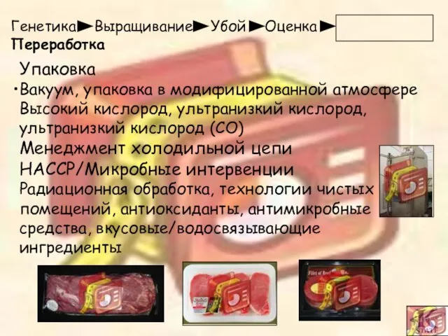 Генетика Выращивание Убой Оценка Переработка Упаковка Вакуум, упаковка в модифицированной атмосфере Высокий