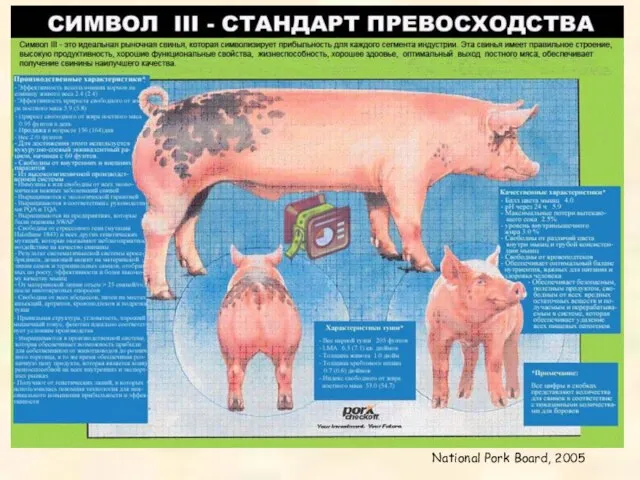 National Pork Board, 2005