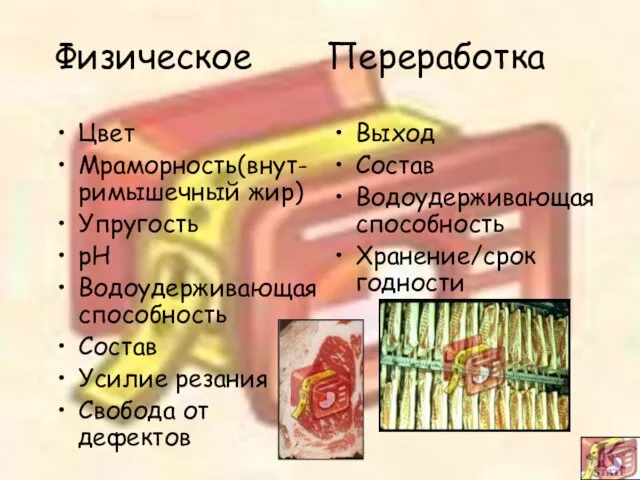 Физическое Переработка Цвет Мраморность(внут-римышечный жир) Упругость pH Водоудерживающая способность Состав Усилие резания