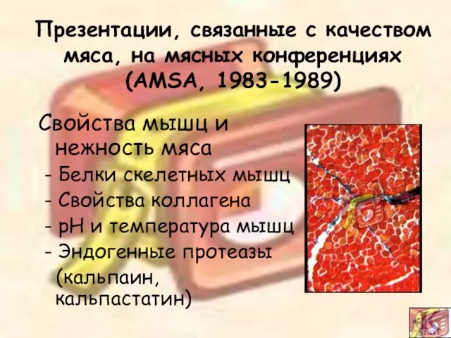 Свойства мышц и нежность мяса - Белки скелетных мышц - Свойства коллагена