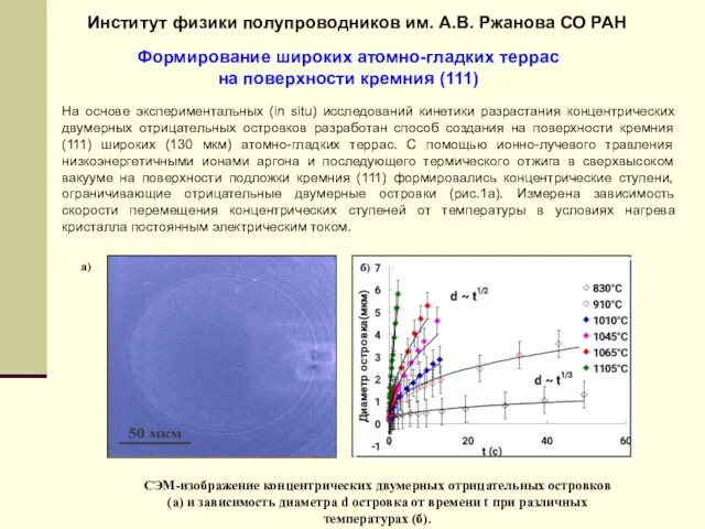 CЭМ-изображение концентрических двумерных отрицательных островков (а) и зависимость диаметра d островка от