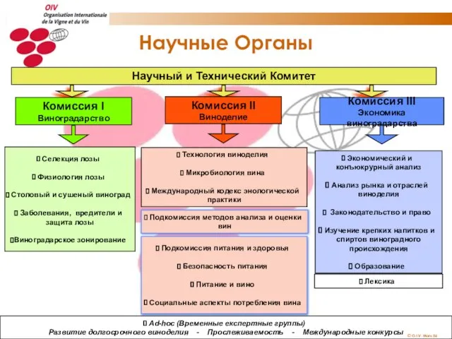 Научные Органы Научный и Технический Комитет Селекция лозы Физиология лозы Столовый и