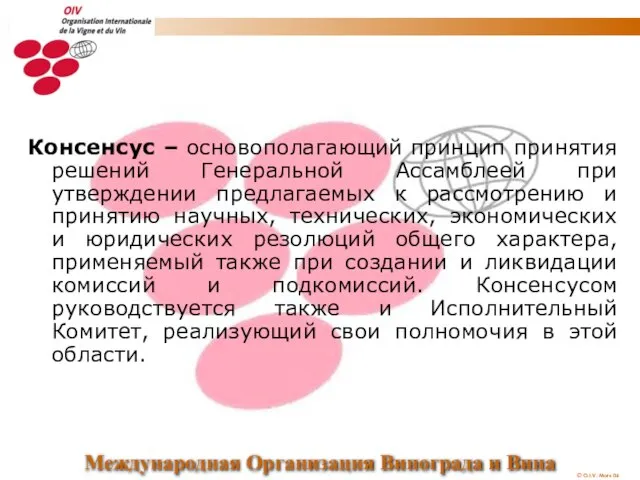 Консенсус – основополагающий принцип принятия решений Генеральной Ассамблеей при утверждении предлагаемых к