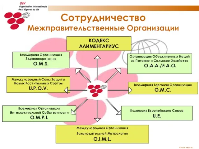 Сотрудничество Межправительственные Организации Международный Союз Защиты Новых Растительных Сортов U.P.O.V. Всемирная Организация