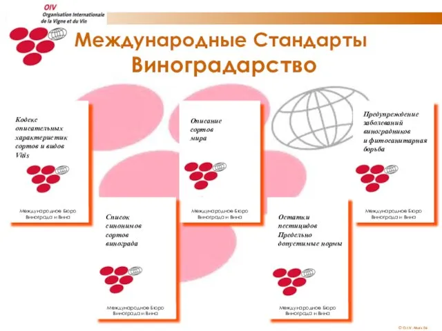 Международные Стандарты Виноградарство Кодекс описательных характеристик сортов и видов Vitis Международное Бюро