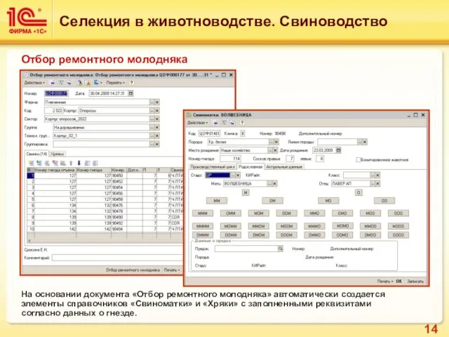 Отбор ремонтного молодняка На основании документа «Отбор ремонтного молодняка» автоматически создается элементы