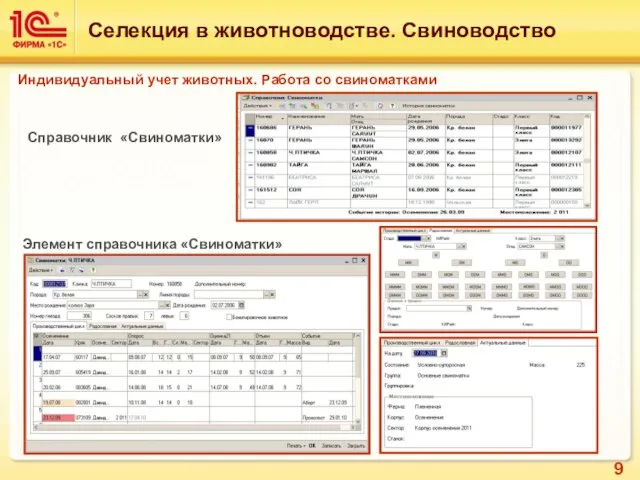 Справочник «Свиноматки» Селекция в животноводстве. Свиноводство Индивидуальный учет животных. Работа со свиноматками Элемент справочника «Свиноматки»