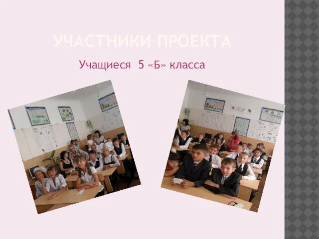 УЧАСТНИКИ ПРОЕКТА Учащиеся 5 «Б» класса