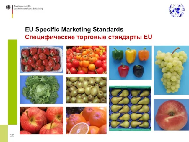 EU Specific Marketing Standards Специфические торговые стандарты EU