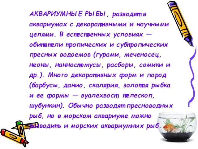 АКВАРИУМНЫЕ РЫБЫ, разводят в аквариумах с декоративными и научными целями. В естественных