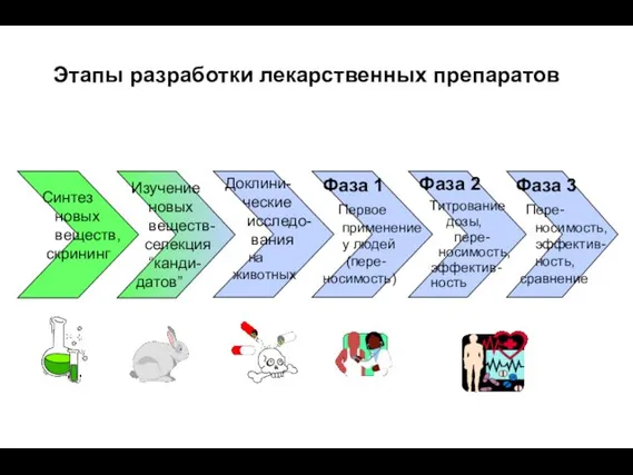 Фаза 3 Пере- носимость, эффектив- ность, сравнение Фаза 1 Первое применение у