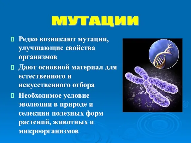 Редко возникают мутации, улучшающие свойства организмов Дают основной материал для естественного и