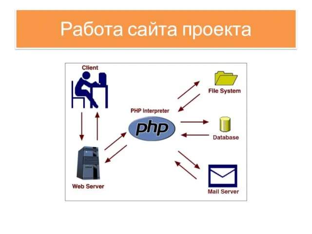 Работа сайта проекта