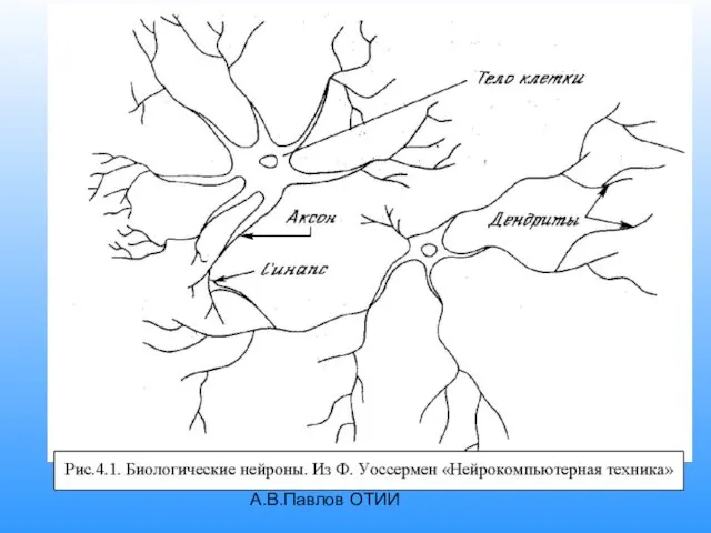 А.В.Павлов ОТИИ