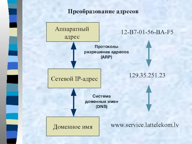 Преобразование адресов Аппаратный адрес Сетевой IP-адрес Доменное имя Протоколы разрешения адресов (ARP)