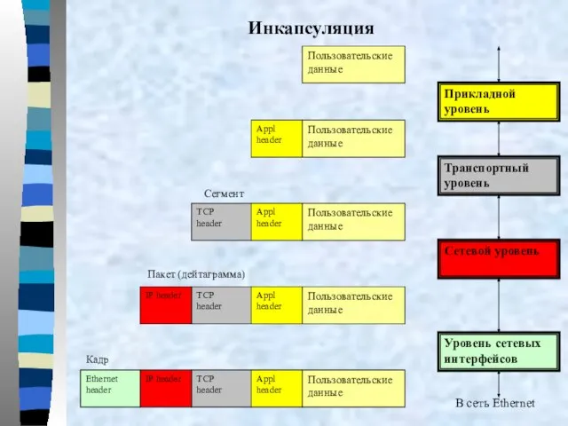 Кадр В сеть Ethernet Пакет (дейтаграмма) Сегмент