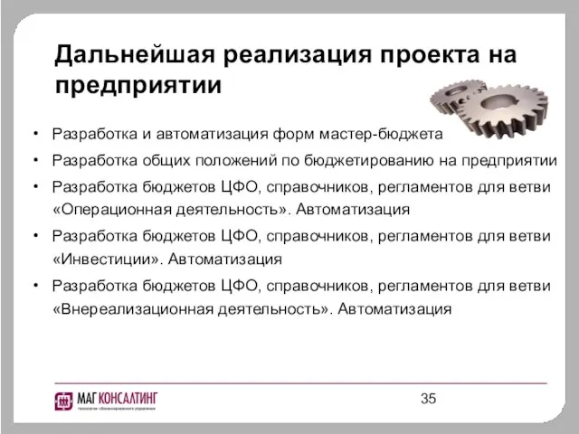 Дальнейшая реализация проекта на предприятии Разработка и автоматизация форм мастер-бюджета Разработка общих