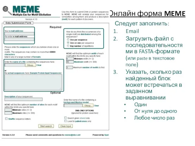 Онлайн форма MEME Следует заполнить: Email Загрузить файл с последовательностями в FASTA-формате