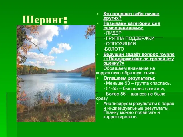 Шеринг: Кто проявил себя лучше других? Называем категории для самооценивания: - ЛИДЕР