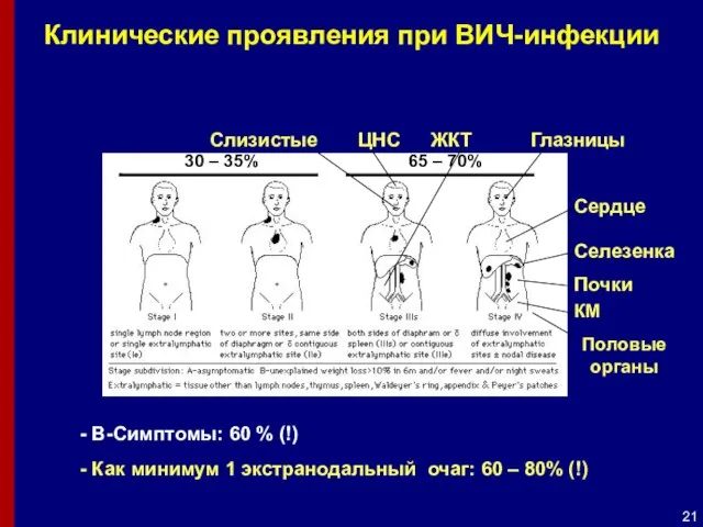 65 – 70% 30 – 35% B-Симптомы: 60 % (!) Как минимум