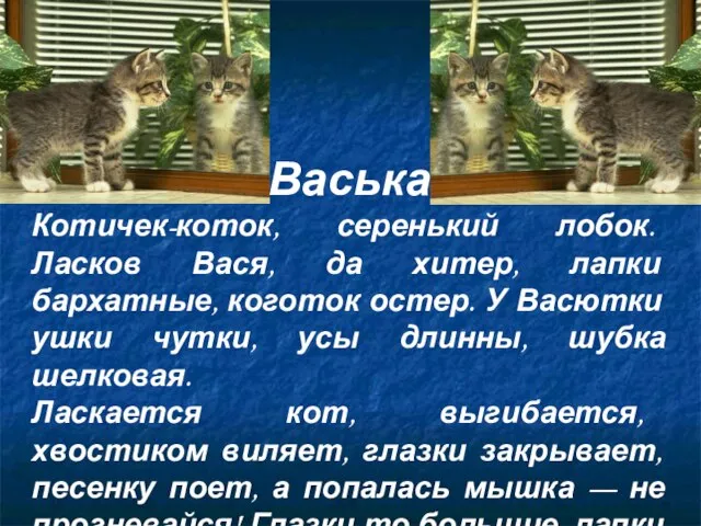 Васька Котичек-коток, серенький лобок. Ласков Вася, да хитер, лапки бархатные, коготок остер.