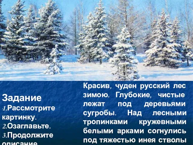 . Красив, чуден русский лес зимою. Глубокие, чистые лежат под деревьями сугробы.
