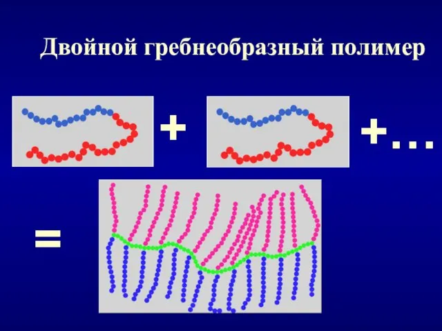 Двойной гребнеобразный полимер + +… =