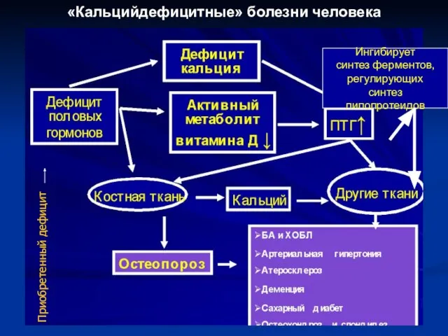 «Кальцийдефицитные» болезни человека Ингибирует синтез ферментов, регулирующих синтез липопротеидов Приобретенный дефицит