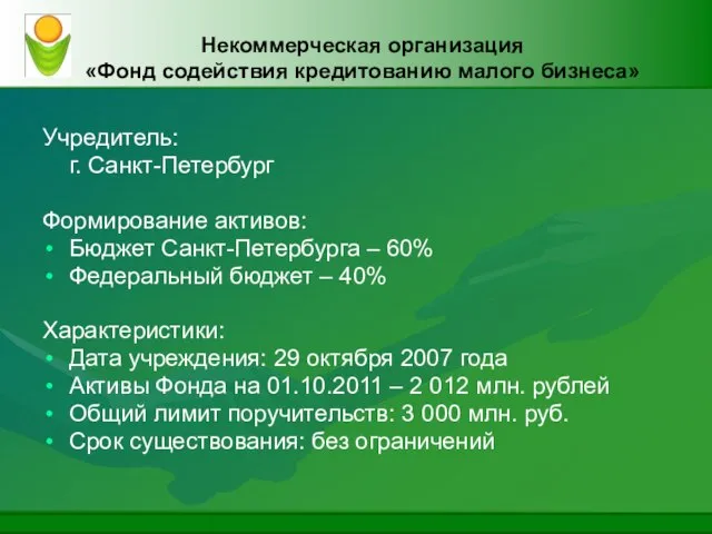 Некоммерческая организация «Фонд содействия кредитованию малого бизнеса» Учредитель: г. Санкт-Петербург Формирование активов: