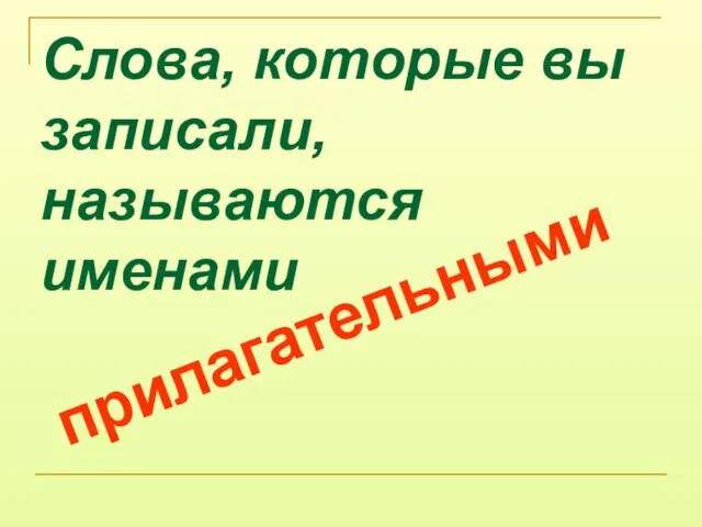 Слова, которые вы записали, называются именами прилагательными