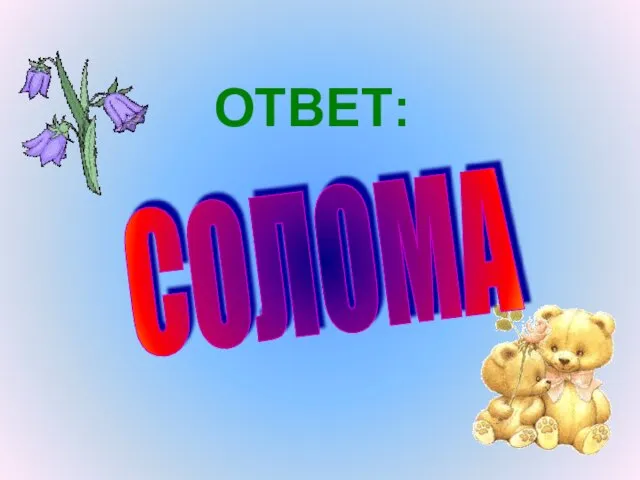 ОТВЕТ: СОЛОМА