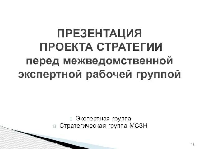 Экспертная группа Стратегическая группа МСЗН ПРЕЗЕНТАЦИЯ ПРОЕКТА СТРАТЕГИИ перед межведомственной экспертной рабочей группой