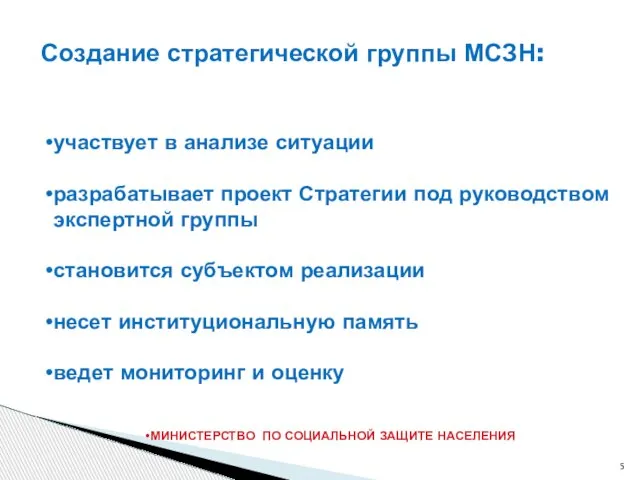 Создание стратегической группы МСЗН: участвует в анализе ситуации разрабатывает проект Стратегии под