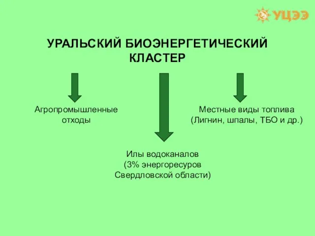 УРАЛЬСКИЙ БИОЭНЕРГЕТИЧЕСКИЙ КЛАСТЕР Агропромышленные отходы Илы водоканалов (3% энергоресуров Свердловской области) Местные