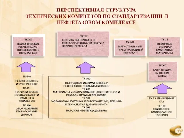 ПЕРСПЕКТИВНАЯ СТРУКТУРА ТЕХНИЧЕСКИХ КОМИТЕТОВ ПО СТАНДАРТИЗАЦИИ В НЕФТЕГАЗОВОМ КОМПЛЕКСЕ ТК ХХ ГЕОЛОГИЧЕСКОЕ