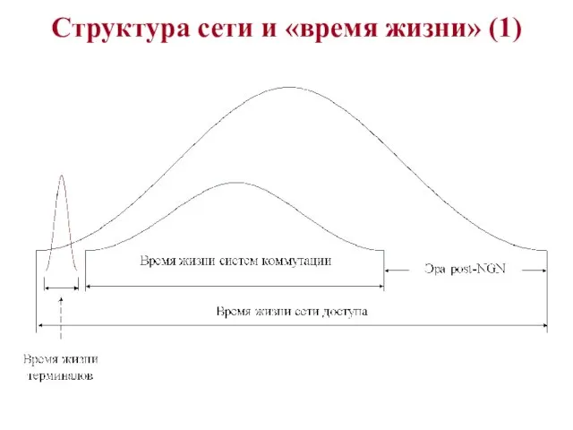 Структура сети и «время жизни» (1)