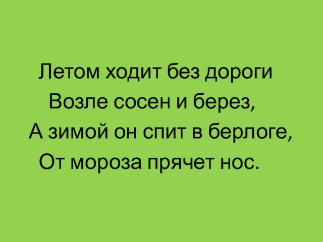 Летом ходит без дороги Возле сосен и берез, А зимой он спит