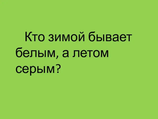 Кто зимой бывает белым, а летом серым?