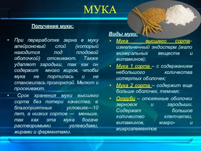 МУКА Получение муки: При переработке зерна в муку алейроновый слой (который находится