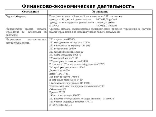 Финансово-экономическая деятельность